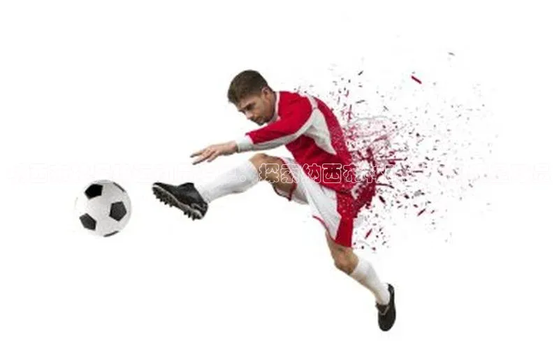 人人体育手机版百度教育