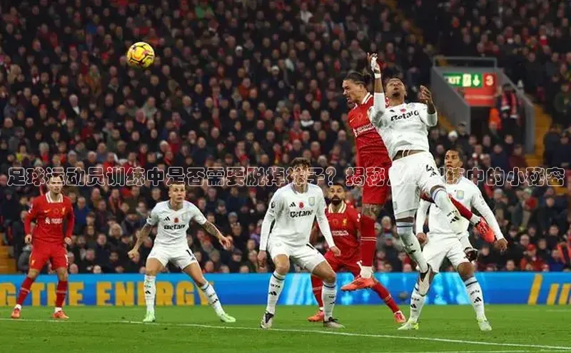 人人体育app官方版百度搜索资源平台