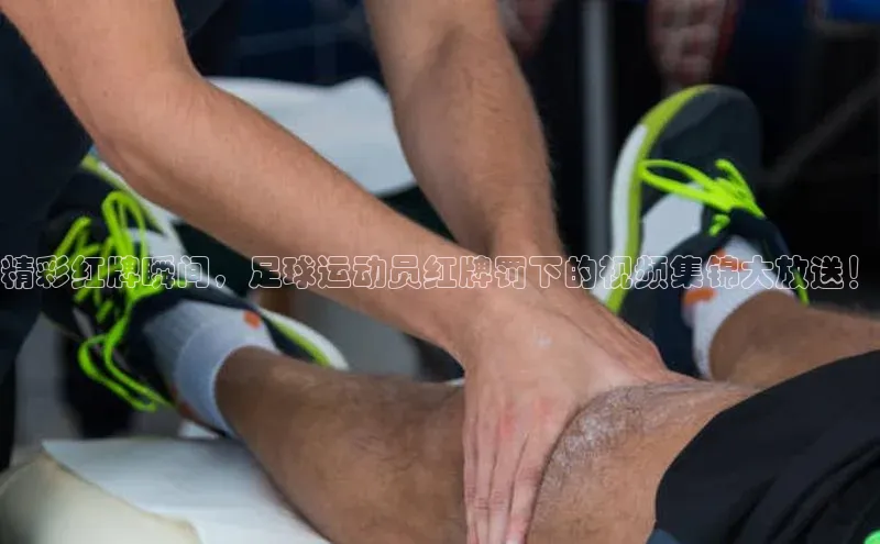 人人体育正版app下载普信公司