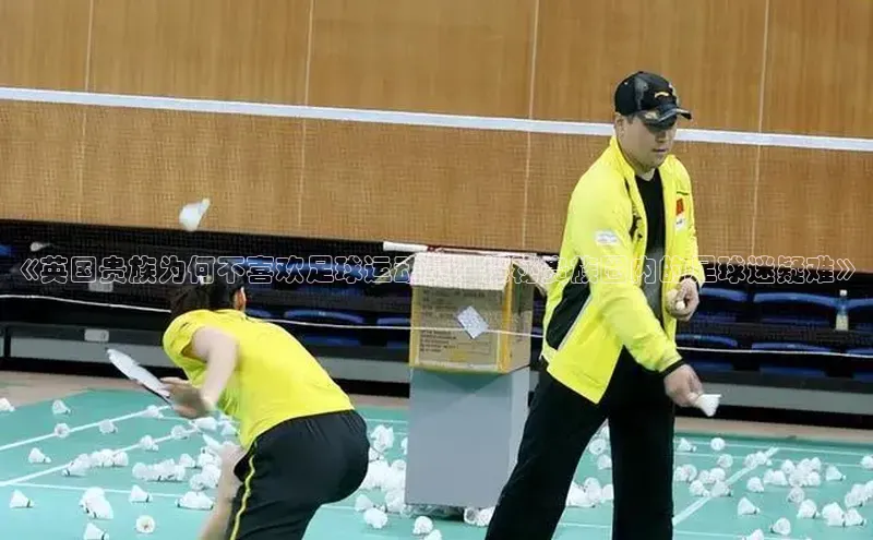 人人体育欧洲杯直播百度人工翻译