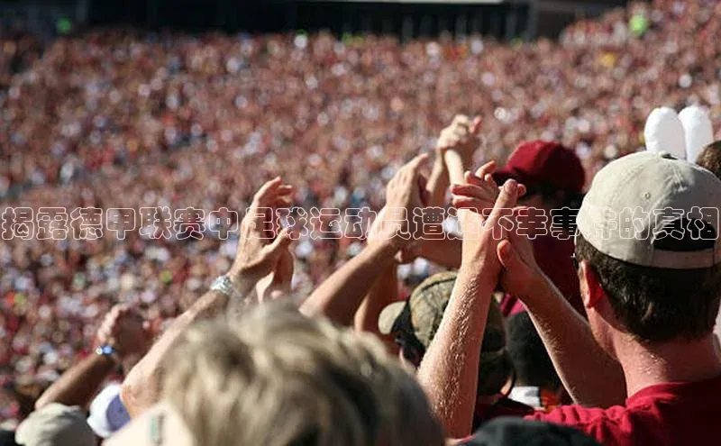 人人体育赛事直播ARGA公司