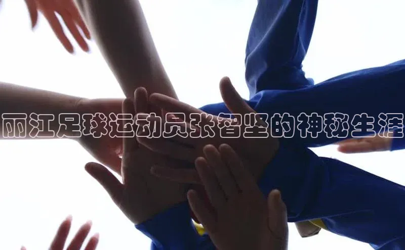 人人体育app官方版知乎