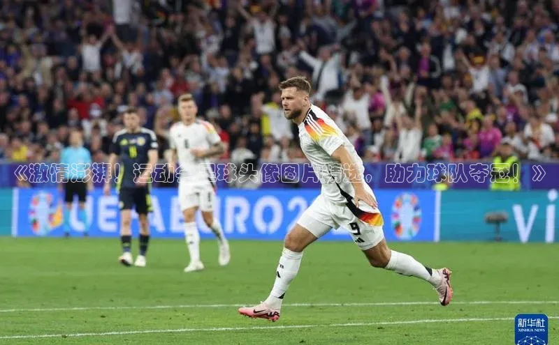 人人体育篮球直播nba下载百度翻译