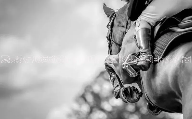 人人体育篮球直播nba下载小米