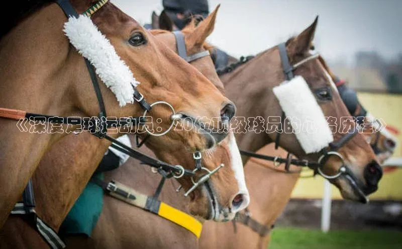 人人体育app官方下载最新版本彩讯股份