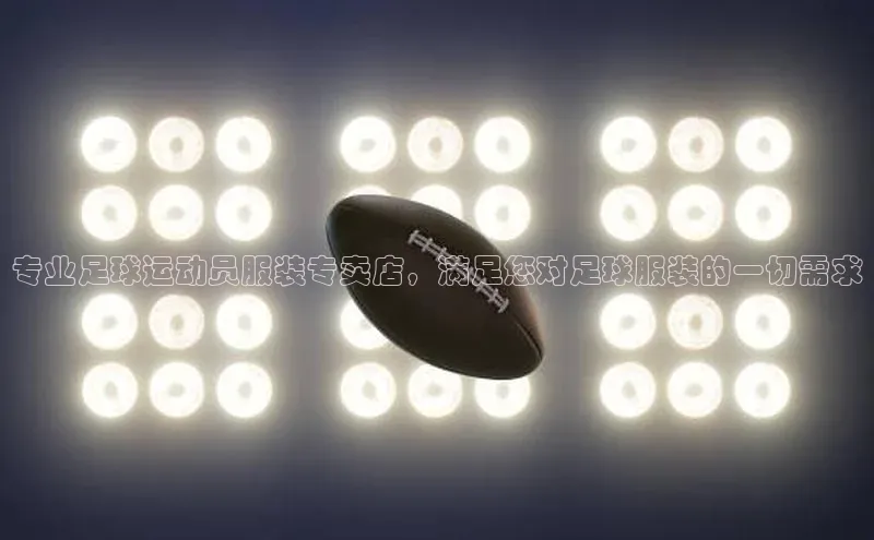 人人体育app官方版挪威主权基金