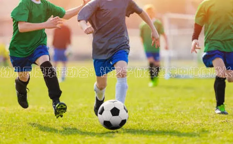 人人体育app官方下载最新版本赛富乐斯