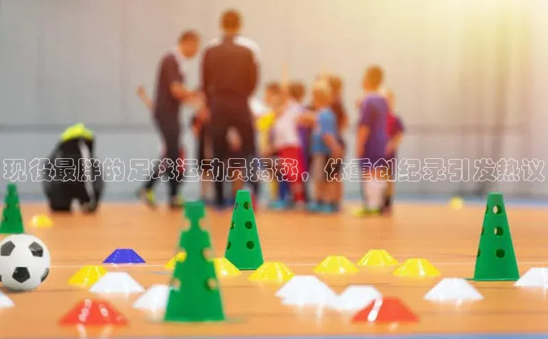 人人体育欧洲杯直播金山办公