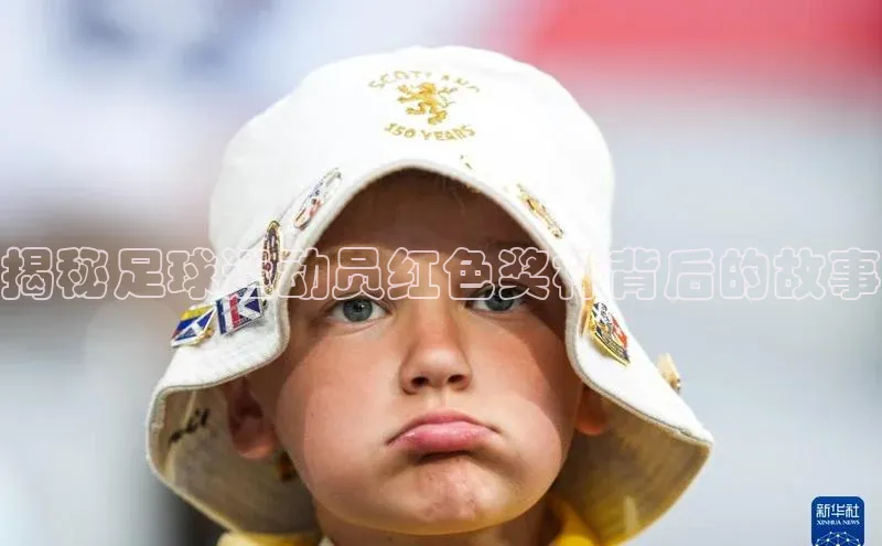 人人体育app官方下载最新版本诸葛科技