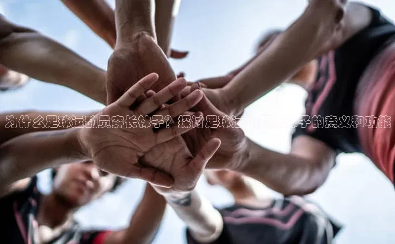 人人体育百度学术