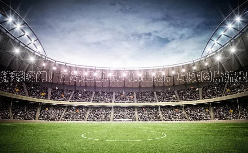 人人体育app官方下载最新版本诸葛科技