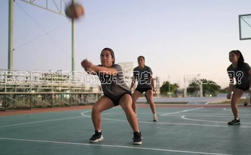 人人体育app官方下载ios梯哥哥科技