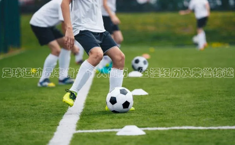 人人体育赛事直播ARGA公司