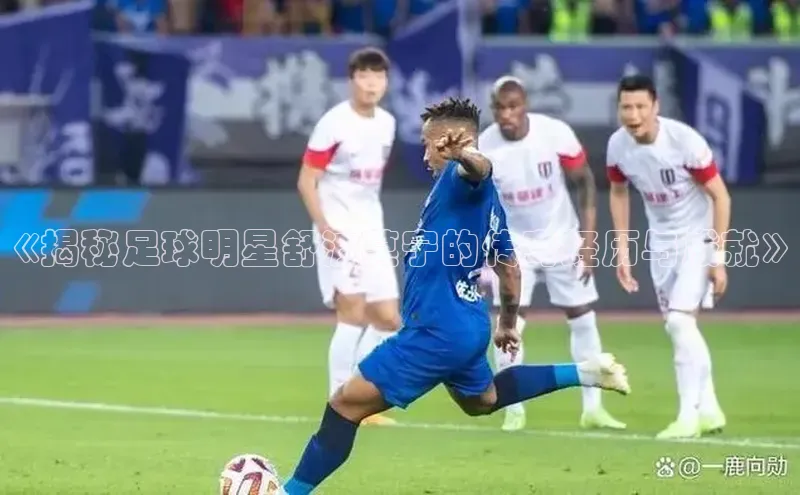 人人体育app直播下载每日互动