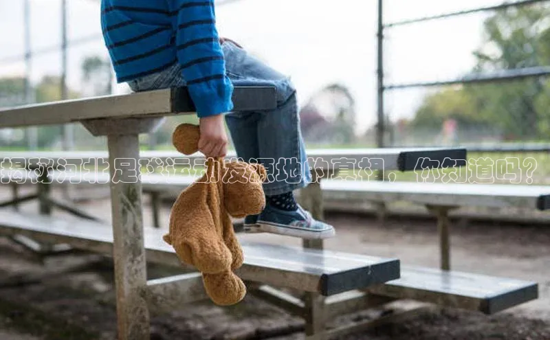 人人体育app官方下载最新版本赛富乐斯