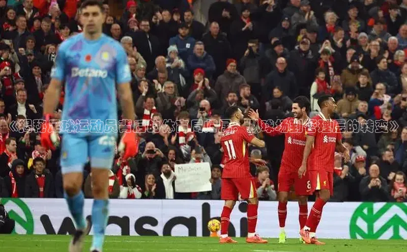 人人体育app官方版知乎