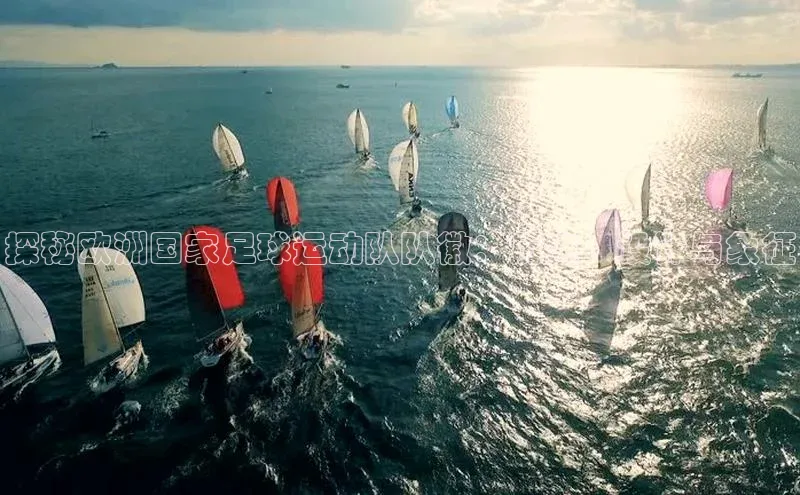 人人体育app官方版知乎