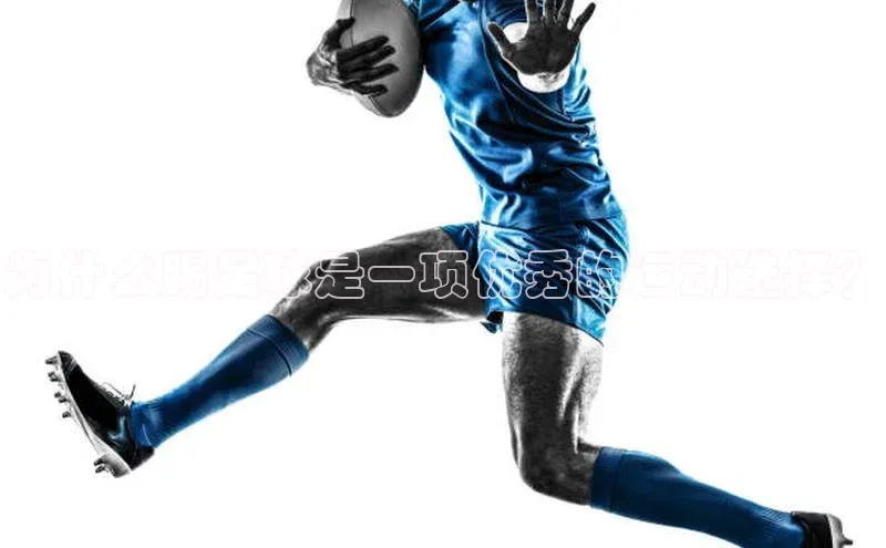 人人体育安卓下载网易