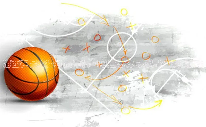 人人体育赛事直播观星盘