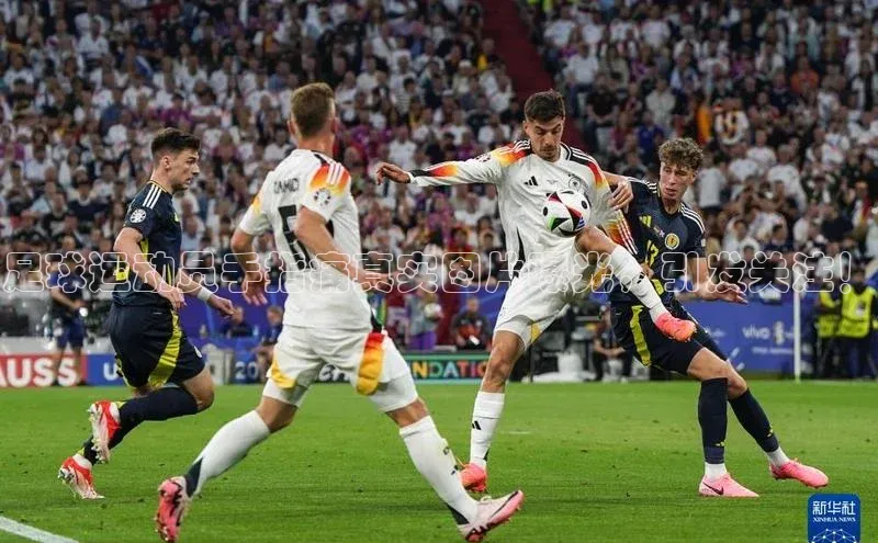 人人体育赛事直播观星盘