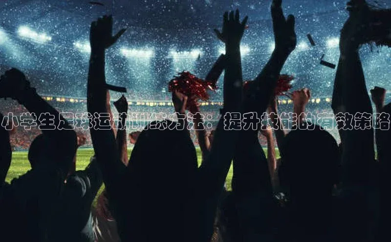 人人体育app直播下载每日互动