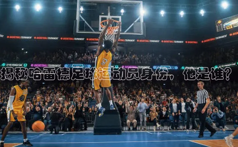 人人体育一径科技