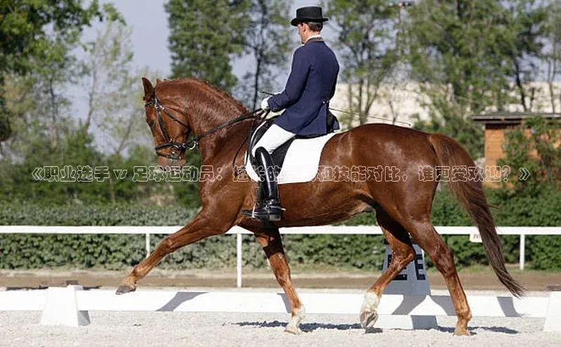 人人体育直播篮球百度移动开放平台