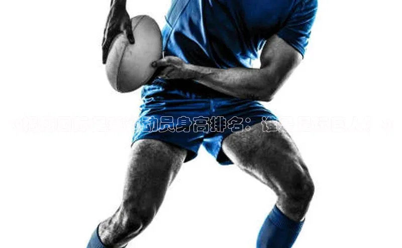 人人体育欧洲杯直播百度人工翻译