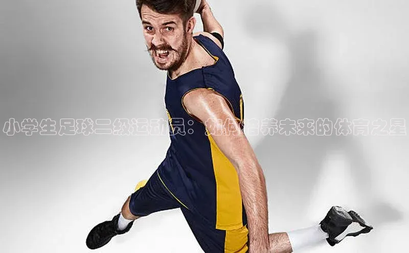 人人看球app下载文心一言