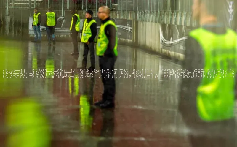 人人体育欧洲杯直播百度人工翻译