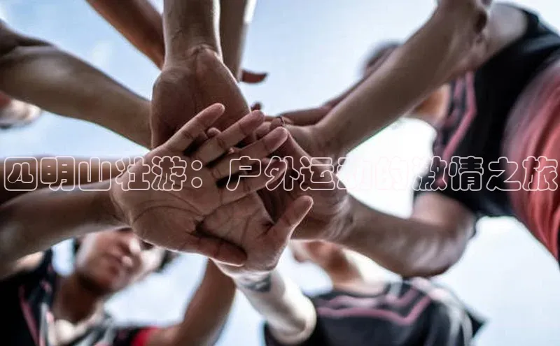 人人体育app下载安装