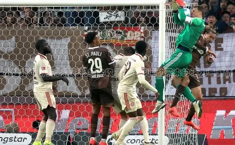 人人体育app安卓版