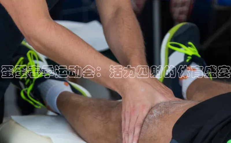 人人体育app安卓版