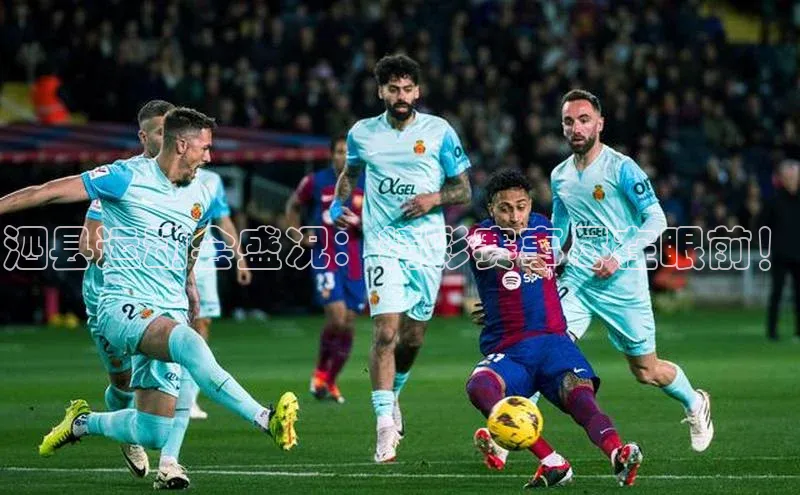 人人体育官方正版下载安装