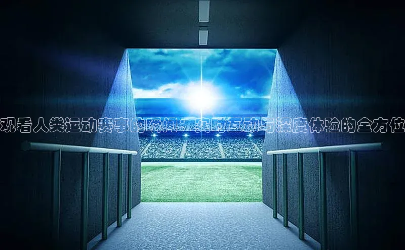 人人体育篮球直播nba下载