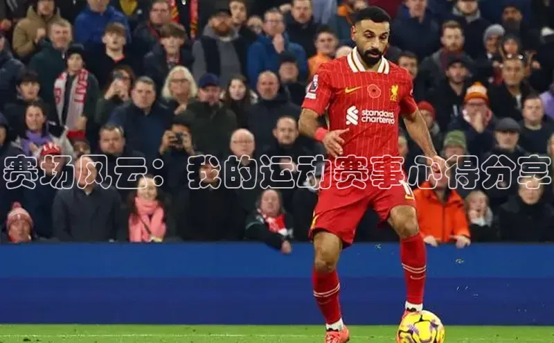 人人体育app官方版