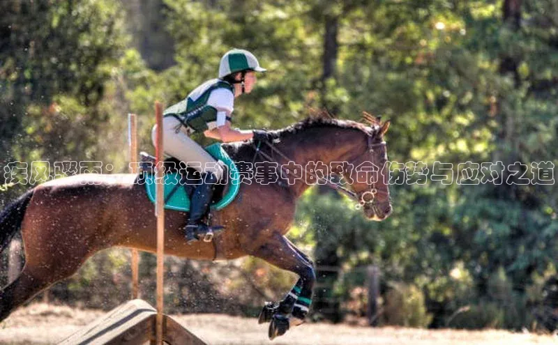 人人体育欧洲杯直播