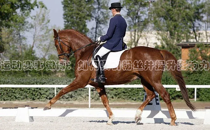 人人体育下载安装