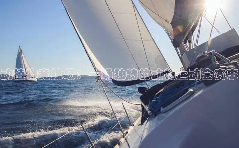 人人体育app官方下载ios