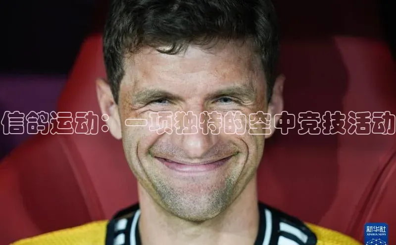 人人体育正版app下载