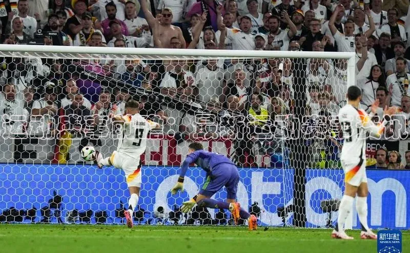 人人体育app官方版