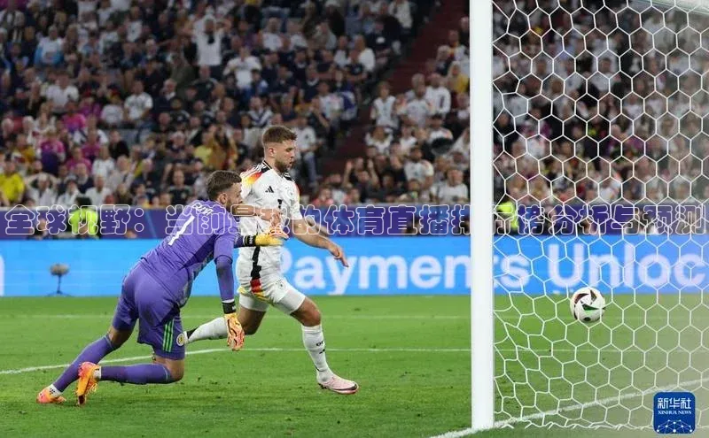 人人体育app官方版